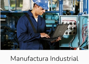 manufactura Industrial
